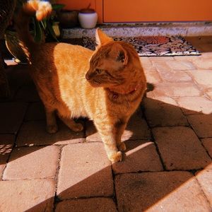 Meet your Posher, Jutta